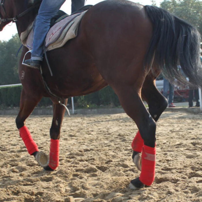 Bandes polaires pour pattes de cheval - Lot de 4 protège-jambes pour l'équitation et l'entraînement