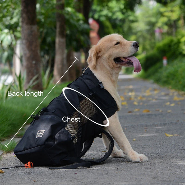 Mochila para perros para mascotas: paquete de viaje portátil y ventilado para aventuras en bicicleta y senderismo, lavable y transpirable