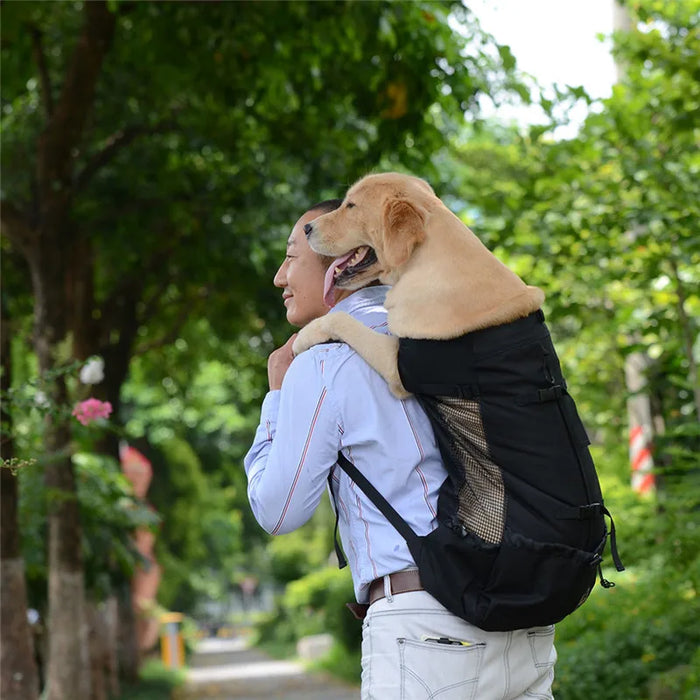 Mochila para perros para mascotas: paquete de viaje portátil y ventilado para aventuras en bicicleta y senderismo, lavable y transpirable