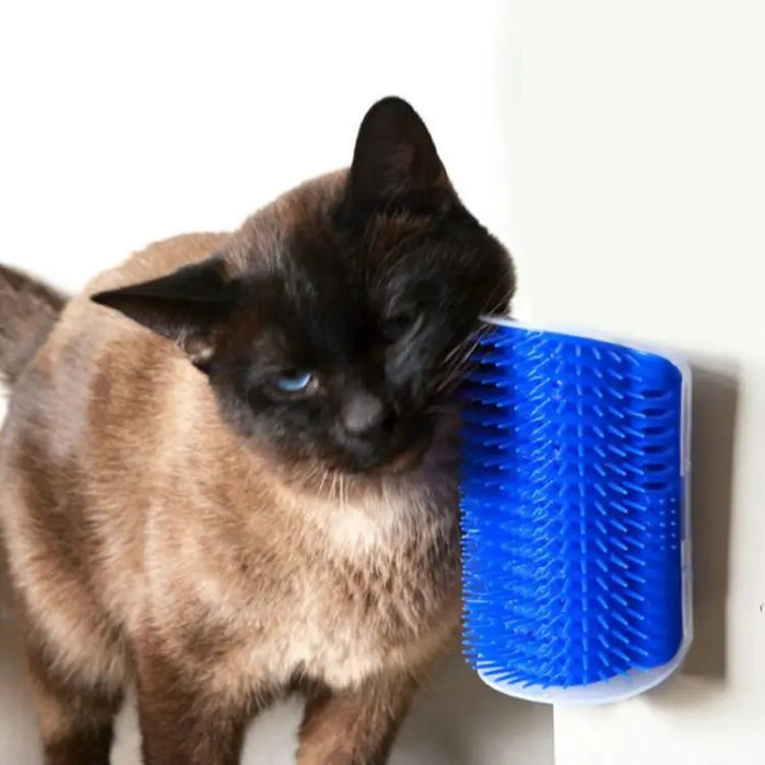 Brosse de massage pour animaux de compagnie avec grattoir d'angle pour l'épilation et brosse de nettoyage amovible