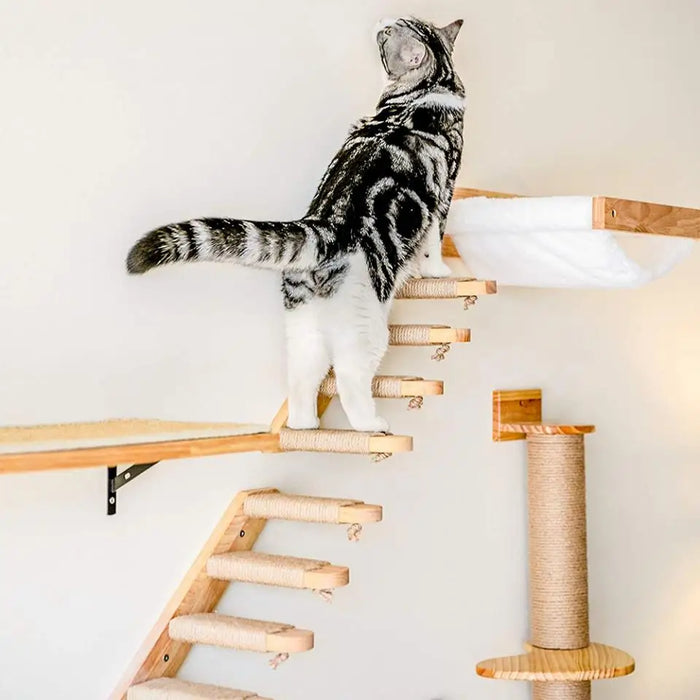 Hamac mural pour chat, avec étagères d'escalade, arbre à griffes en bois, étagères d'escalier et échelle en sisal pour l'escalade du chat