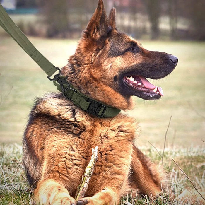 Robustes taktisches Hundehalsband- und Leinen-Set – verstellbares Militär-Hundezubehör für mittelgroße und große Hunde, perfekt für das Training mit dem Deutschen Schäferhund.