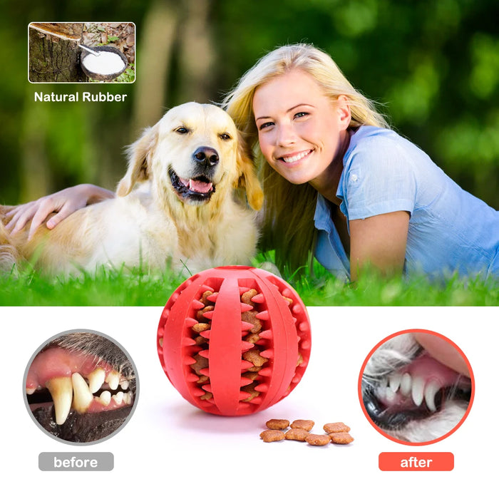 Pelota de Goma Interactiva para Perros - Masticación y Limpieza de Dientes para Perros y Gatos Pequeños y Grandes