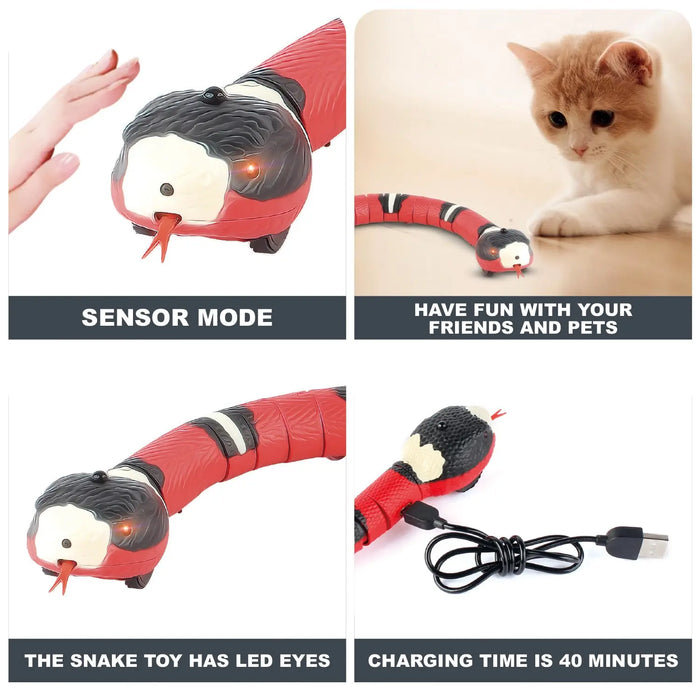 Serpent électronique automatique interactif pour chats - Jouet pour chat rechargeable par USB pour jouer en intérieur