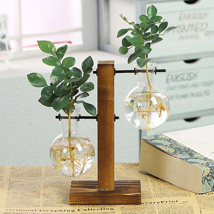 Elegante jarrón de cristal con soporte de madera, contenedor de plantas hidropónicas para una decoración elegante del hogar