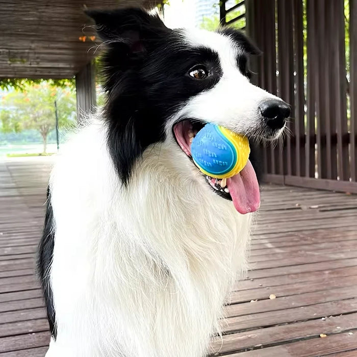 Langlebiger Trainingsball für den Hund – Unverwüstliches Spiel und Aktivität, 1 Stk