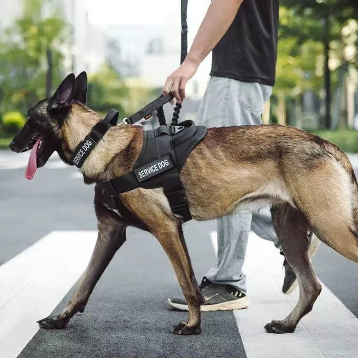 Arnés militar táctico grande para perros K9 con correa y collar para entrenamiento de pastor alemán, ajustable para todos los tamaños