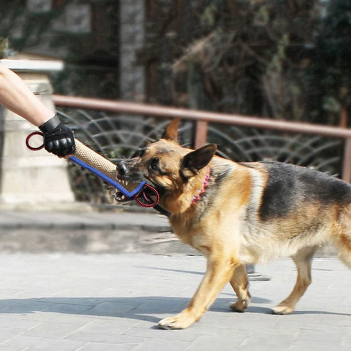 Bringen Sie Hunden bei, grobe Jute-Kaustangen zum Aufziehen von Hunden, Hunde-Kaustangen und Kaukissen für Deutsche Schäferhunde zu verwenden