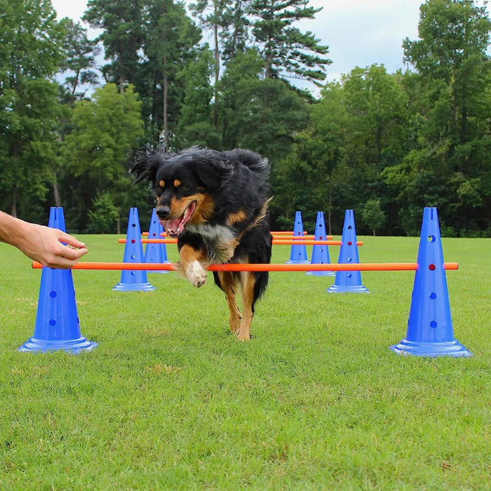 Kit d'entraînement d'agilité pour chiens - Parcours d'obstacles avec barre de saut pour obstacles et accessoires d'entraînement