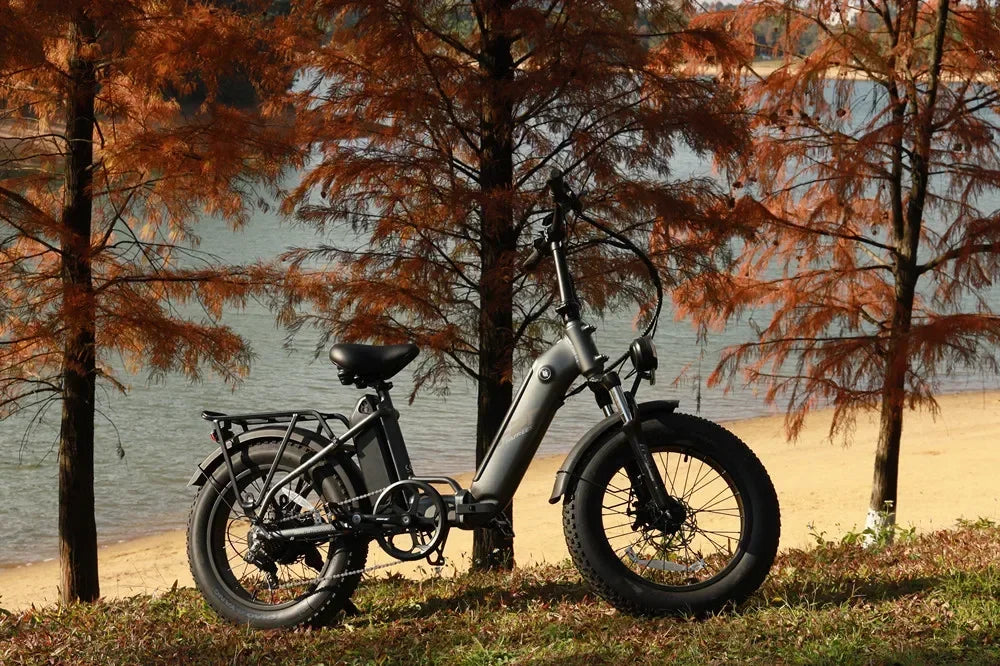 Fafrees FF20 Polar faltbares Elektrofahrrad, 20 x 4,0 Zoll, Fat Tire E-Bike für Erwachsene, 1000 W, 20,8 Ah Akku, 7 Gänge, E-MTB Reichweite 70 km