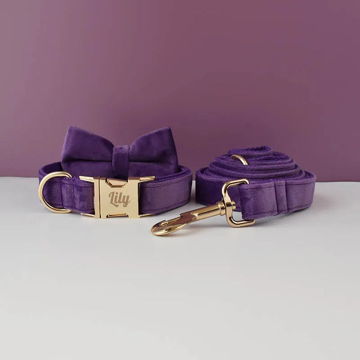 Luxuriöses individuelles Hundehalsband- und Leinen-Set mit abnehmbarer Fliege und individuellem Logo