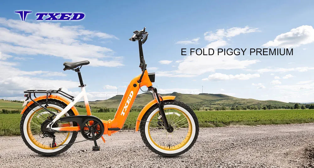 TXED Elektro-Faltrad 500 W Fat 20 Zoll Enduro E-Bike mit Packständer