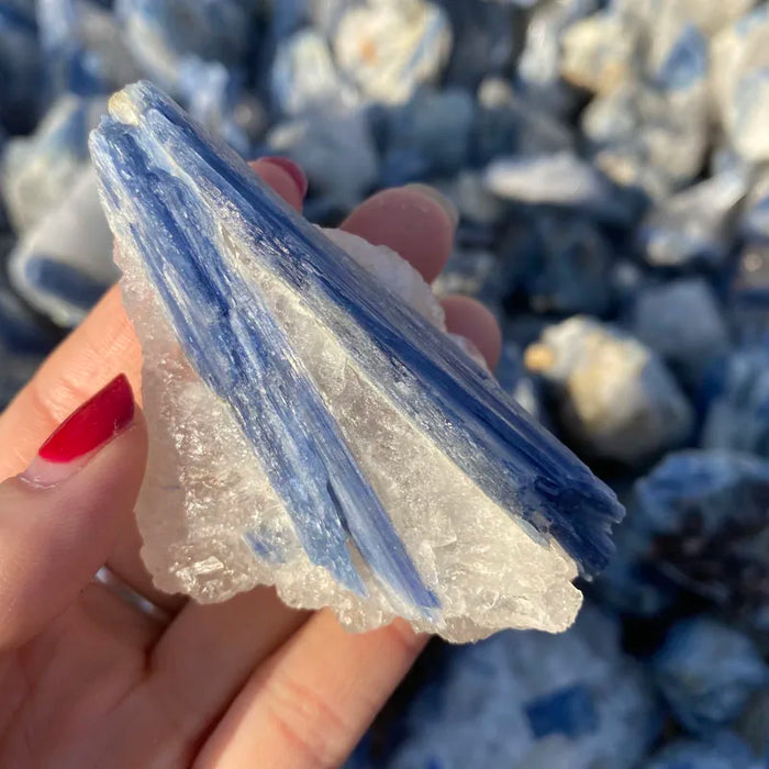 Espécimen de cristal de cianita natural para curación de Reiki, piedra preciosa azul cruda para colección de joyas (1 unidad)