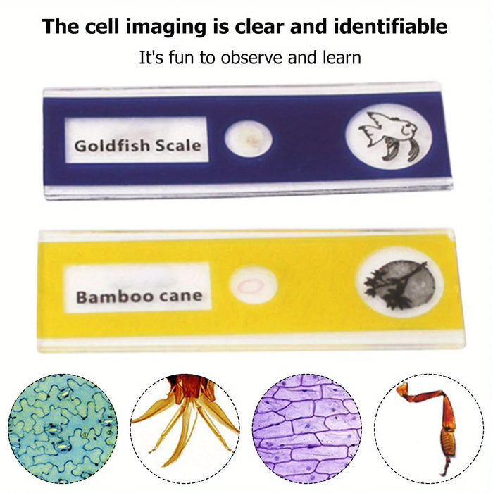 Kit de microscope portable avec lumière LED 60X à 120X pour la maison, l'école et les sciences biologiques – Jouets éducatifs pour enfants, cadeau d'anniversaire