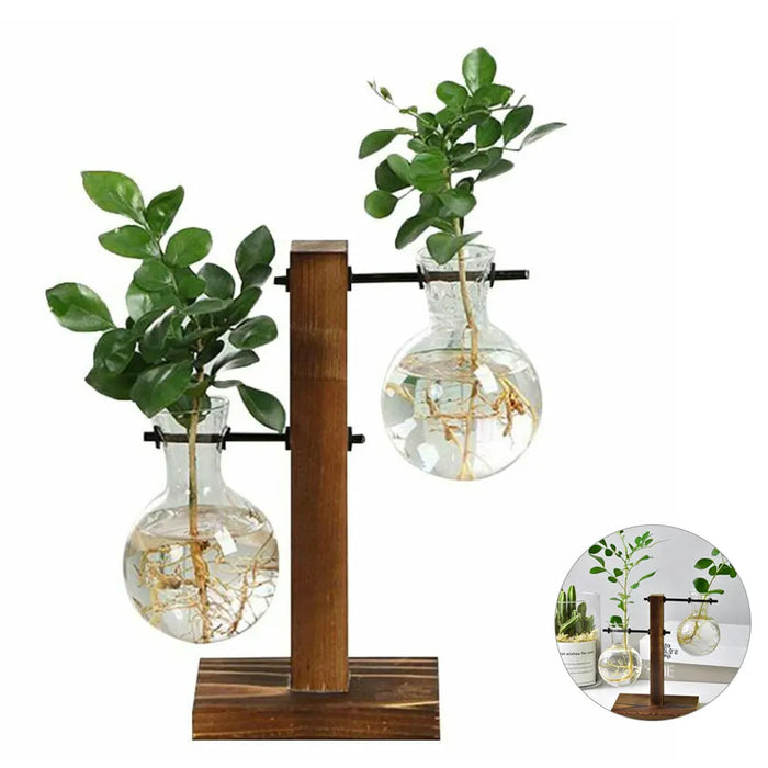 Elegante jarrón de cristal con soporte de madera, contenedor de plantas hidropónicas para una decoración elegante del hogar