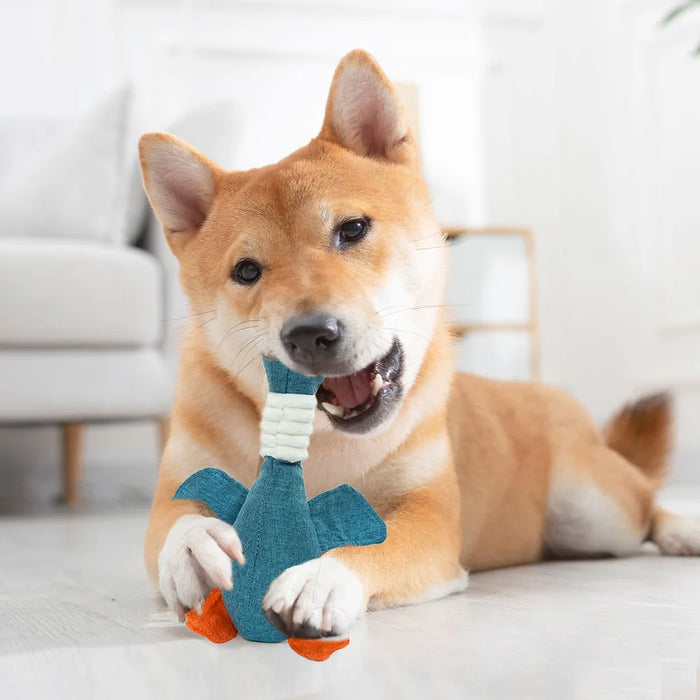 Jouets pour chiens avec bruits d'oie - Jouets résistants aux morsures et nettoyants pour chiens et chats