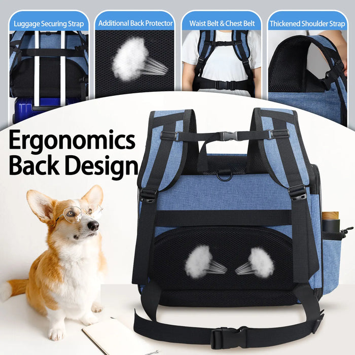 Petskd Pet Backpack - Approved by Southwest Airlines for Cat and Small Dog Travel with Security Lock and Zipper