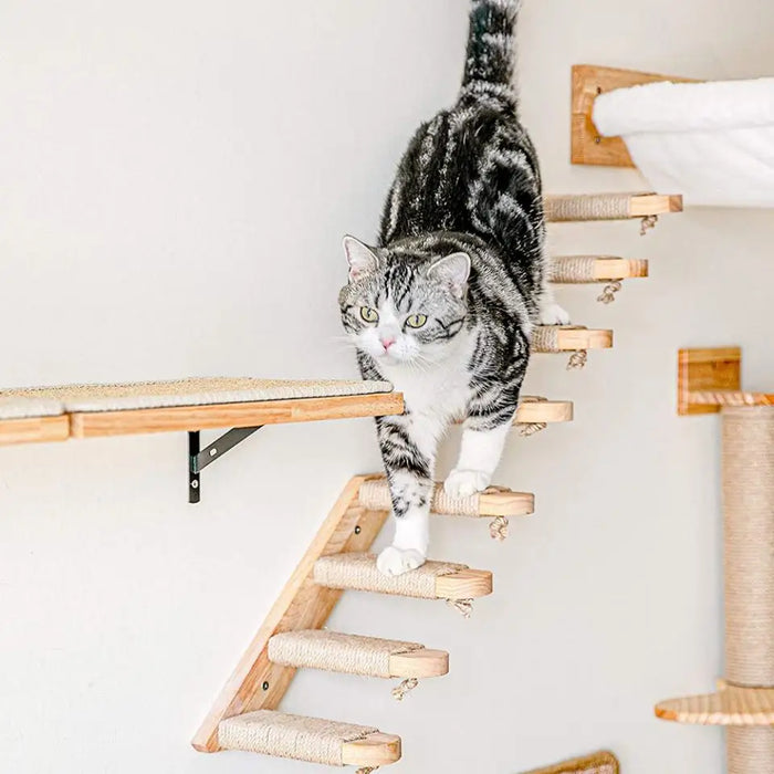 Hamac mural pour chat, avec étagères d'escalade, arbre à griffes en bois, étagères d'escalier et échelle en sisal pour l'escalade du chat