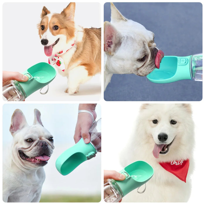 Bouteille d'eau portable pour chiens et chats – Bols d'extérieur étanches pour petits et grands chiens, chihuahuas et bouledogues français