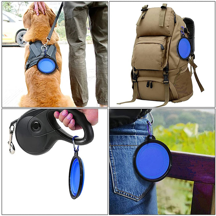 Bol d'alimentation pliable et Portable en Silicone pour chien, distributeur 2 en 1 pour animaux de compagnie, pour voyage en plein air, avec bouteille à mousqueton, pour nourriture et eau