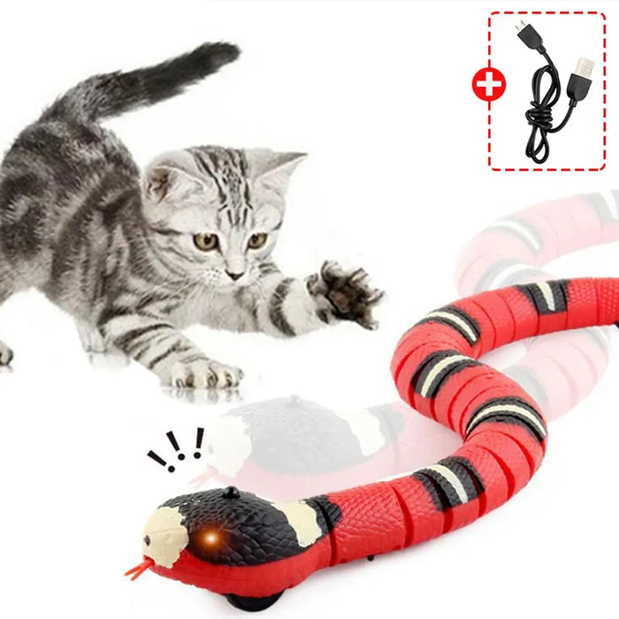 Serpent électronique automatique interactif pour chats - Jouet pour chat rechargeable par USB pour jouer en intérieur