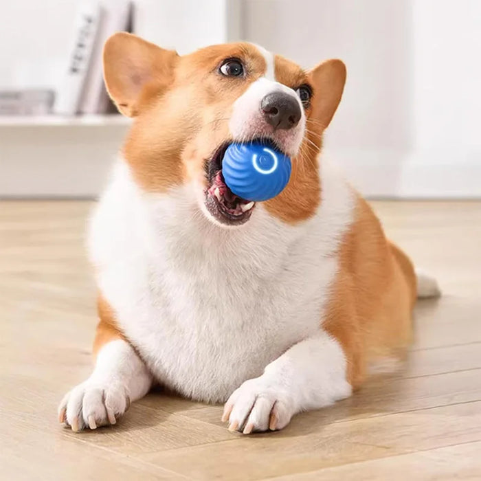 Pelota interactiva para perros con ruedas automáticas, juguete para perros con alimentación USB, bola rodante activa para perros