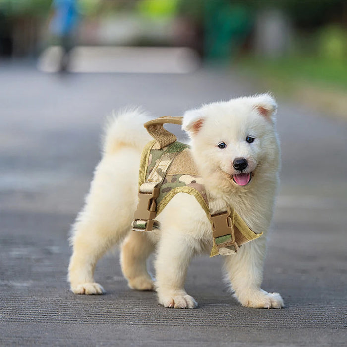 Gilet tactique pour chiot avec laisse pour petits chiens et chats – Gilet K9 réglable pour le service militaire et l'entraînement