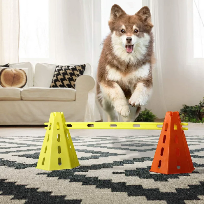 Kit d'entraînement d'agilité pour chiens - Parcours d'obstacles avec barre de saut pour obstacles et accessoires d'entraînement