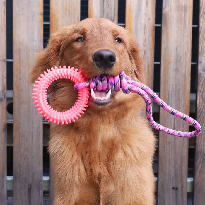 Juguete de entrenamiento interactivo para perros - Anillo con clavos para limpieza y mantenimiento de dientes