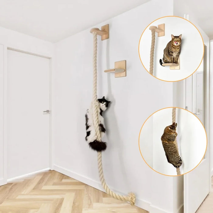 Arbre d'escalade mural en corde de sisal pour chat, avec griffe extensible et zone de jeu pour chats d'intérieur