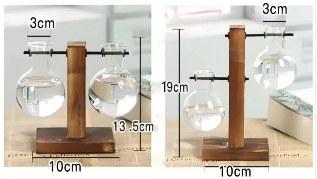 Elegante jarrón de cristal con soporte de madera, contenedor de plantas hidropónicas para una decoración elegante del hogar