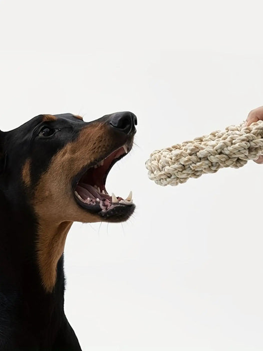 Robuste Replex-Hülle für Hunde – kaufreundlich und bissfest für mittelgroße und große Hunde wie Golden Retriever, Pitbull und Labrador