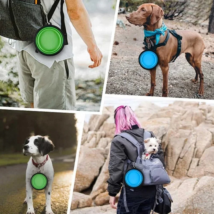 Gamelle pliable en silicone pour animaux de compagnie – Bol d'eau portable et récipient de nourriture pour chiens et chats, parfait pour l'extérieur et les voyages