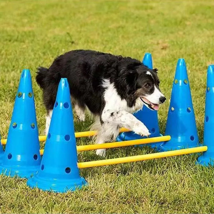 Kit d'entraînement d'agilité pour chiens - Parcours d'obstacles avec barre de saut pour obstacles et accessoires d'entraînement