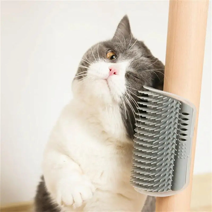 Brosse de massage pour animaux de compagnie avec grattoir d'angle pour l'épilation et brosse de nettoyage amovible