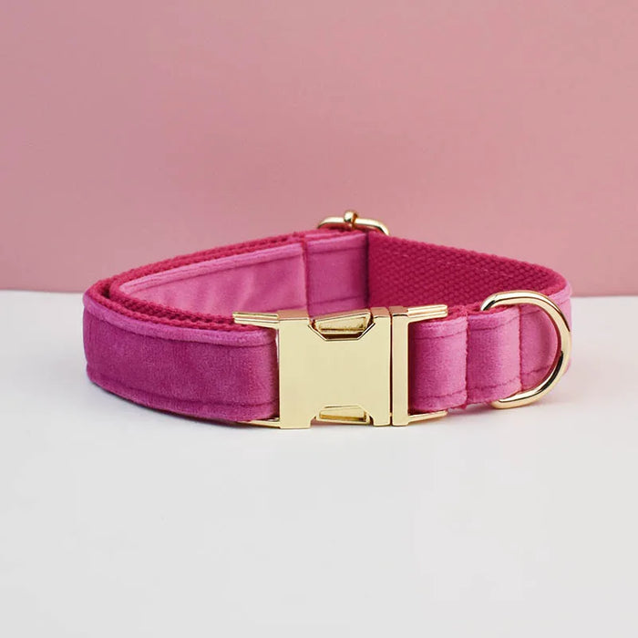 Ensemble collier, harnais et laisse pour chien personnalisé de luxe avec logo personnalisé et nœud papillon détachable