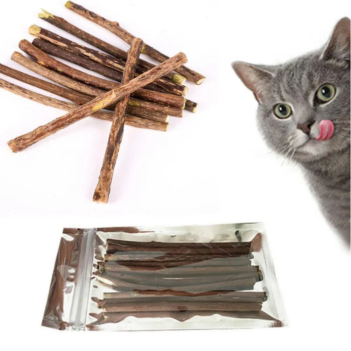 Der Favorit der Katze: Natürliche Silberwein-Sticks für Spaß und Gesundheit