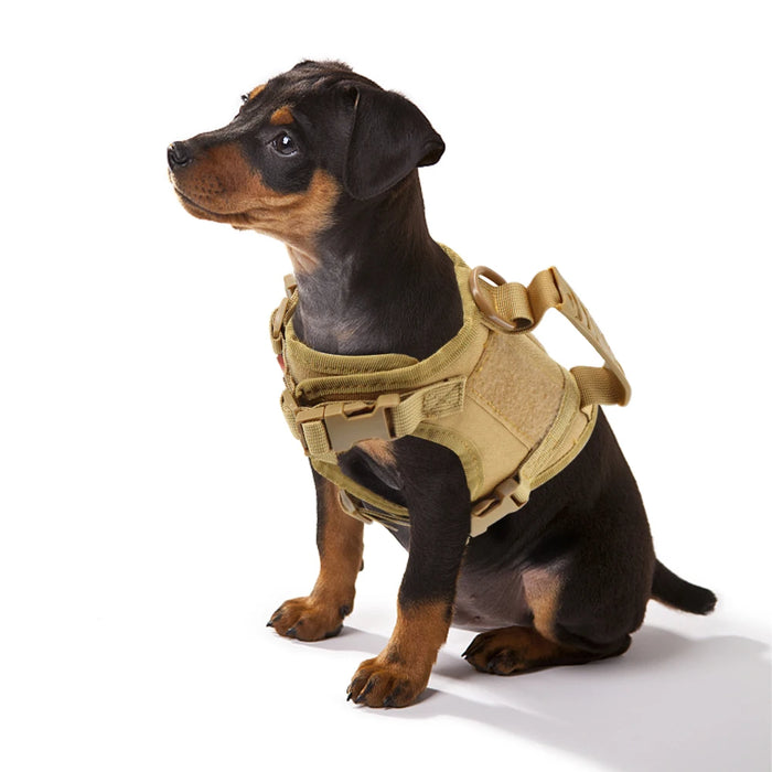 Gilet tactique pour chiot avec laisse pour petits chiens et chats – Gilet K9 réglable pour le service militaire et l'entraînement