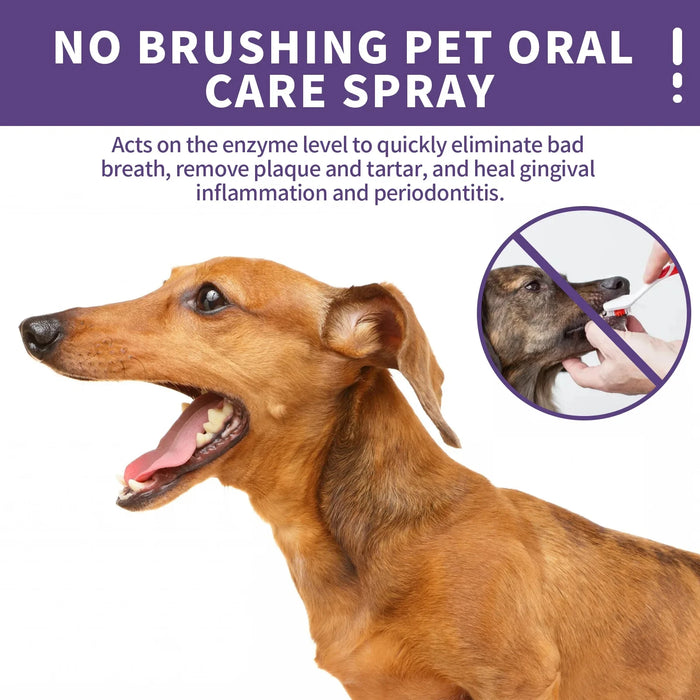 Spray de limpieza bucal para animales - 50 ml para un aliento fresco y dientes más limpios para perros y gatos