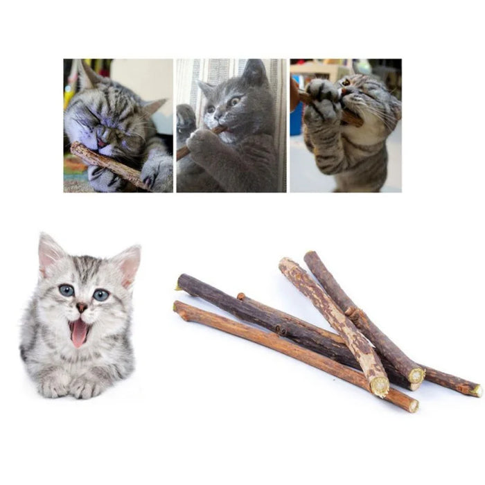 Der Favorit der Katze: Natürliche Silberwein-Sticks für Spaß und Gesundheit