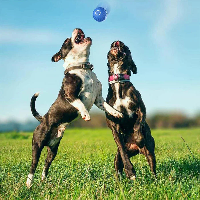 Pelota interactiva para perros con ruedas automáticas, juguete para perros con alimentación USB, bola rodante activa para perros