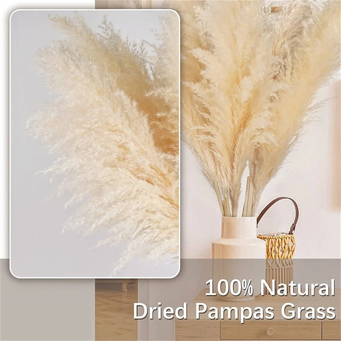 Grande herbe de pampa haute 80-120 cm – Fleurs séchées moelleuses pour décoration bohème et décorations de mariage