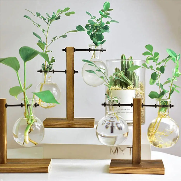 Elegante jarrón de cristal con soporte de madera, contenedor de plantas hidropónicas para una decoración elegante del hogar