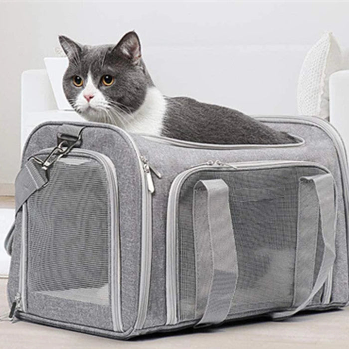 Sac à dos souple pour chien et chat - Sac de transport homologué pour les vols et les voyages avec de petits chiens et chats