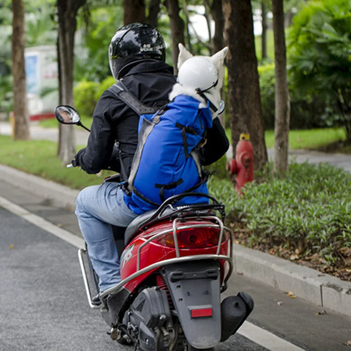 Mochila portaperros de nailon duradera para perros pequeños y medianos: mochila para bicicleta ventilada de alta calidad para viajes al aire libre y equipo para mascotas