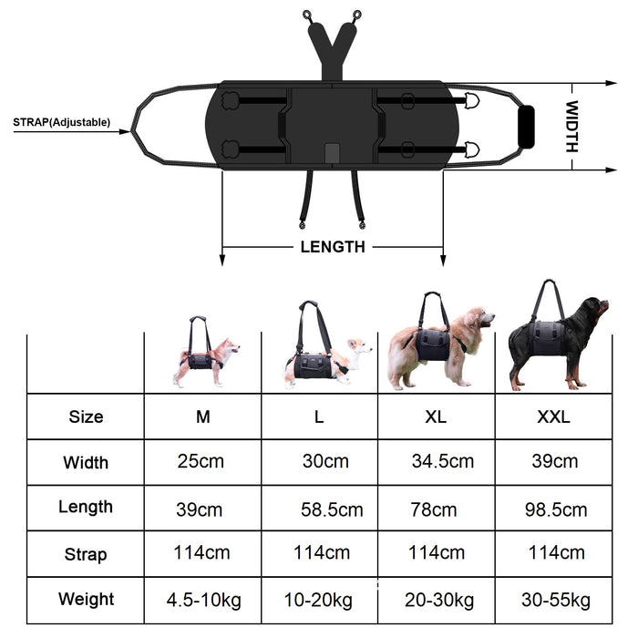 Harnais portable pour chien pour pattes arrière et soutien des hanches – Aides pour chiens âgés et boiteux, harnais de rééducation et de levage