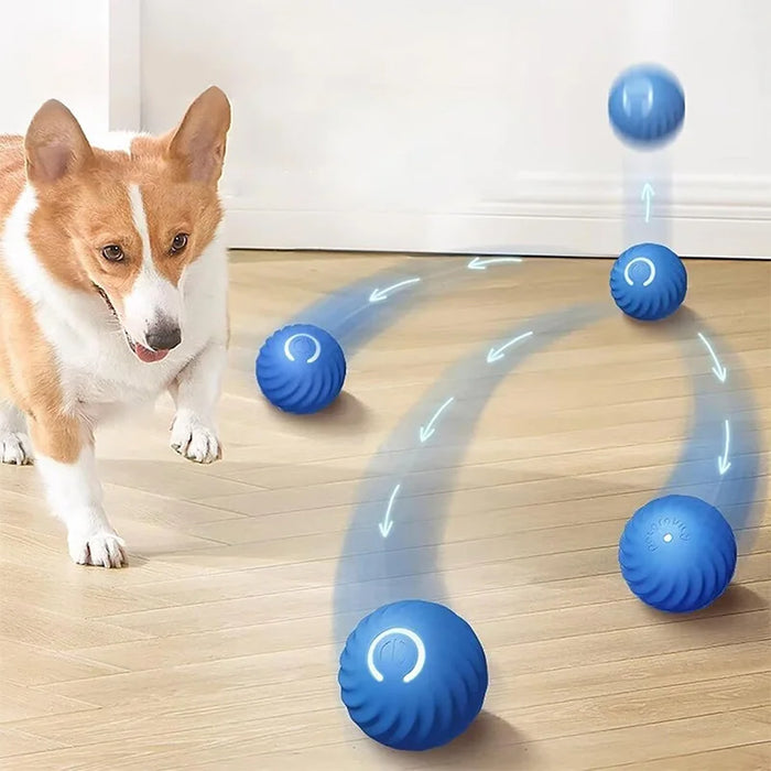 Pelota interactiva para perros con ruedas automáticas, juguete para perros con alimentación USB, bola rodante activa para perros