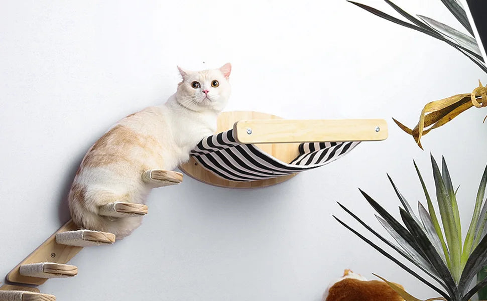 Sistema trepador para gatos de madera montado en la pared: estantes y escaleras elegantes para su gato