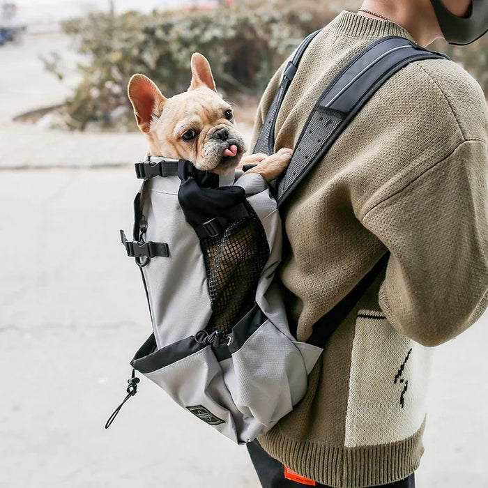 Mochila para perros para mascotas: paquete de viaje portátil y ventilado para aventuras en bicicleta y senderismo, lavable y transpirable