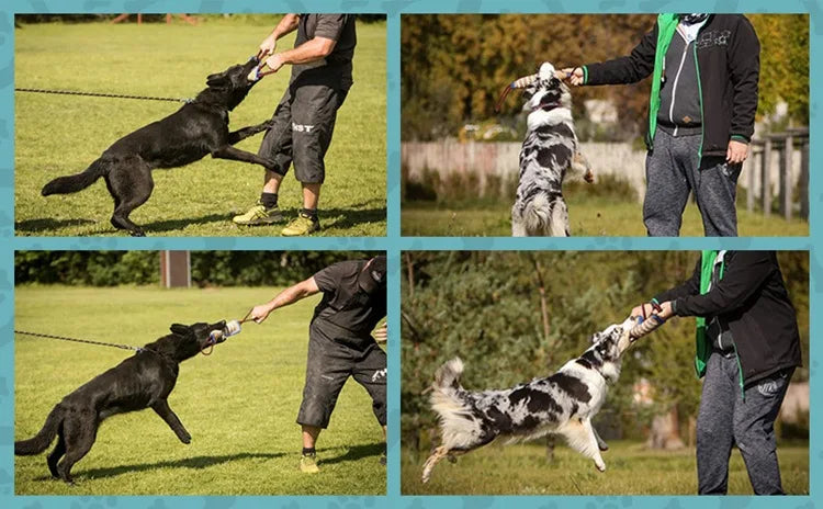 Bringen Sie Hunden bei, grobe Jute-Kaustangen zum Aufziehen von Hunden, Hunde-Kaustangen und Kaukissen für Deutsche Schäferhunde zu verwenden